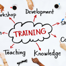 How Small Organisations Can Offer Training