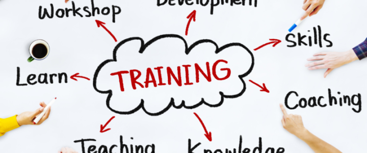 How Small Organisations Can Offer Training