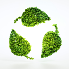 Sustainability and your Association