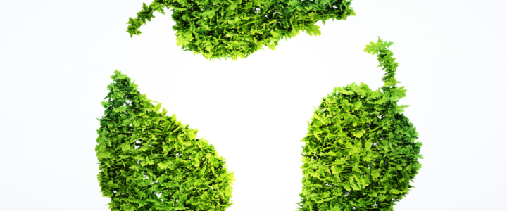 Sustainability and your Association