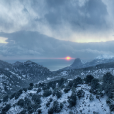 Unlocking the Fellowship: Exploring Belbin Team Roles in Lord of the Rings