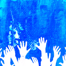 Best Practices for Working with Volunteers in Not-for-Profit Organisations