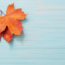 How to Beat the Autumn Blues: Office Organisation Tips for Increased Focus