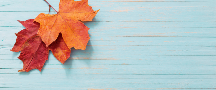 How to Beat the Autumn Blues: Office Organisation Tips for Increased Focus