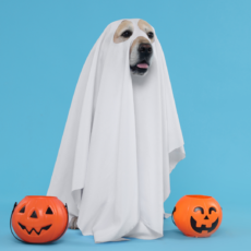 Admin Nightmares: Office Mistakes to Avoid This Halloween